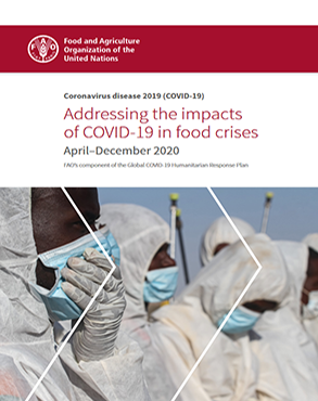 Addressing the impacts of COVID-19 in food crises title=