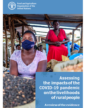 Assessing the impacts of the COVID-19 pandemic on the livelihoods of rural people title=