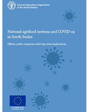 National agrifood systems and COVID-19 in South Sudan: Effects, policy responses and long-term implications title=