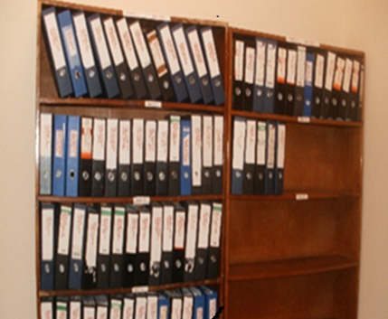 Processed records arranged on wooden shelves