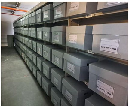 Processed records arranged in Acid-free archival boxes