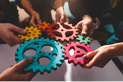 ECA Fellowship Alumni Platform