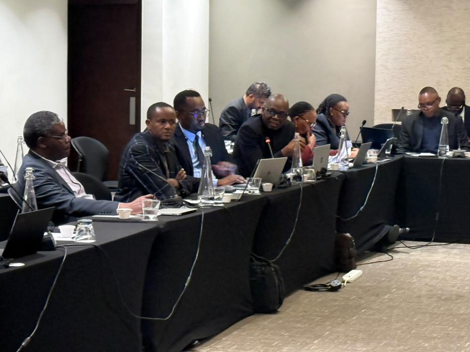 ECA Strengthens SADC Digital Knowledge Ecosystem Through Community of Practice Portal Training > Article content sections