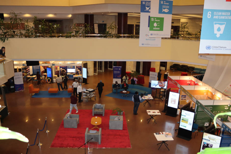 Highlights from the 10th ARFSD Knowledge Fair