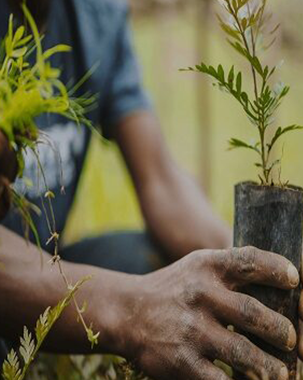 Ethiopia’s Green Legacy Initiative – Planting Our Print for Future Generations.  title=