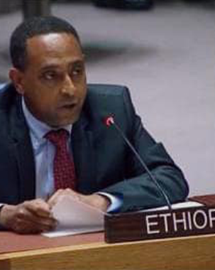 Ethiopia Calls for Collective Efforts to Tackle Causes of Food Insecurity.  title=