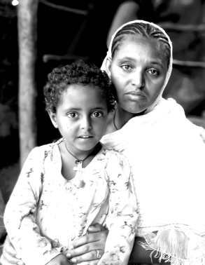 Ethiopia EHRC submitted to the House of Peoples’ Representatives the Commission call for government to protect, respect and guarantee human rights at all times title=