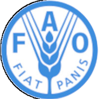 Advancing actions in transforming agrifood systems in Eastern Africa