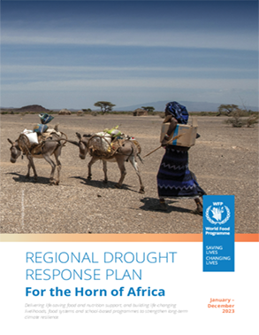 Regional Drought Response Plan for the Horn of Africa: 2023 title=