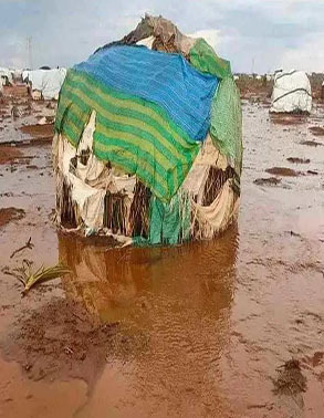 Ethiopia Situation Report title=
