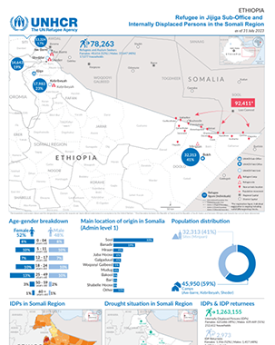 Refugees in Jijiga Sub-Office and Internally Displaced Persons in the Somali Region (as of 31 July 2023) title=