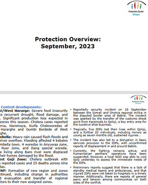 Protection Cluster Ethiopia: Monthly Protection Overview – September 2023 title=