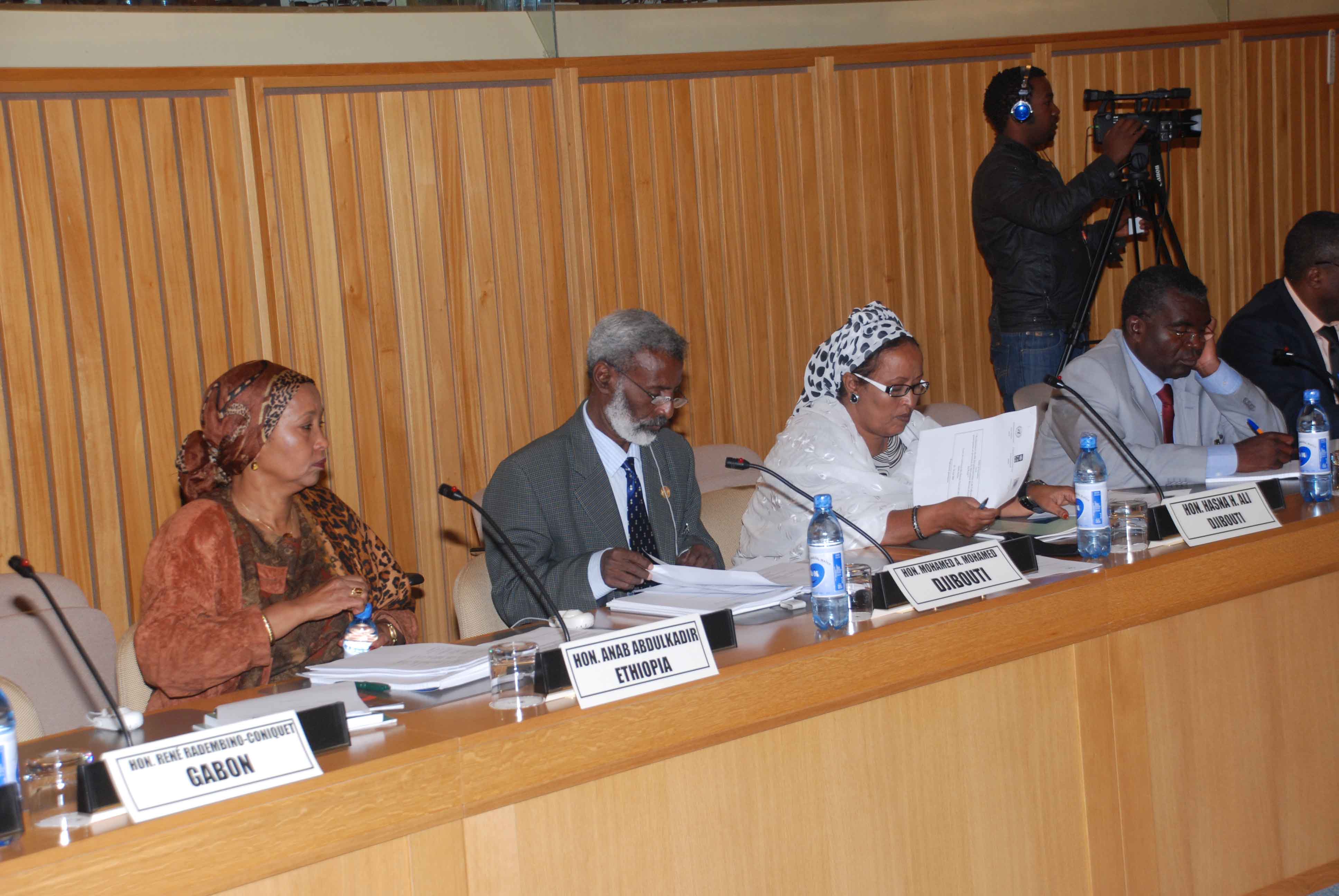 A Workshop on enhancing the role and effective participation of parliamentarians in the African Peer Review Mechanism process.” Photo © ECA