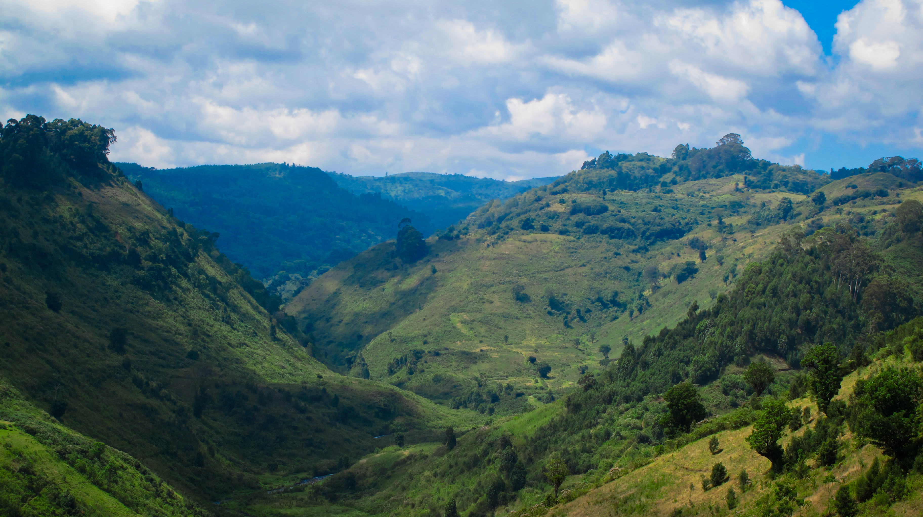 Deforestation and habitat degradation are continuing and population pressure is increasing. Both are affecting the integrity of the watersheds that provide critical water supplies. ClimDev-Africa’s objective is to ensure effective integration of climate information and services into development planning and to ensure the mainstreaming of climate considerations into policies and programme aimed at realizing the Millennium Development Goals. Photo: GREENBELT MOVEMENT