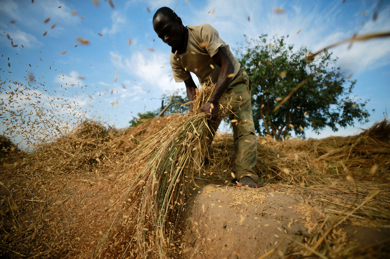 Protecting food security in Africa during COVID-19