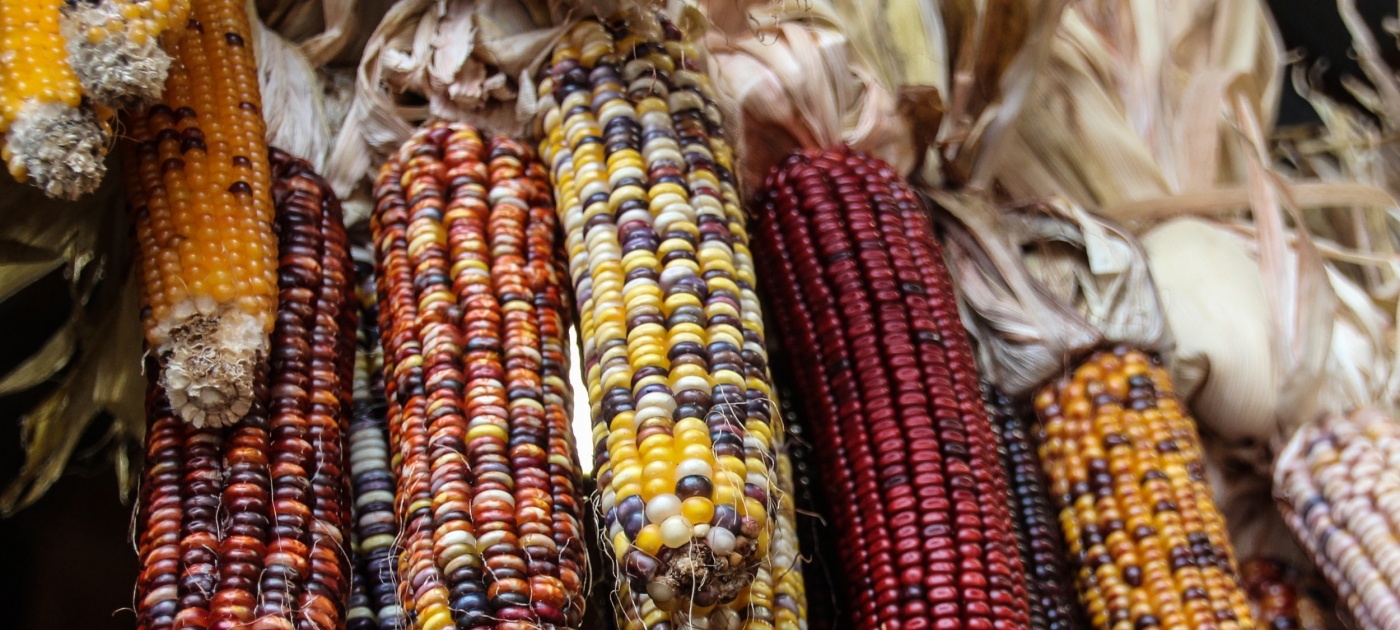 Reducing food loss and waste: Climate action for food systems