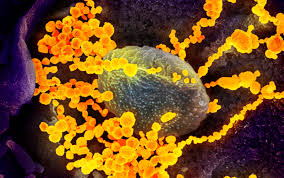 Researching and discovering new COVID-19 variants takes a global effort and is a valuable tool to help explain the spread of a virus.