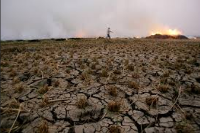 UNEP