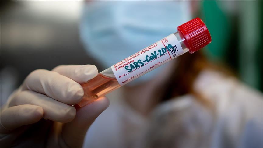 Science Daily