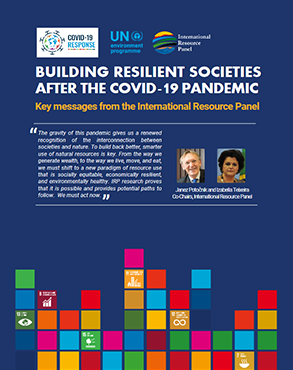 BUILDING RESILIENT SOCIETIES AFTER THE COVID-19 PANDEMIC title=