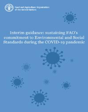 Interim guidance: sustaining FAO’s commitment to Environmental and Social Standards during the COVID-19 pandemic title=