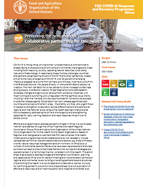 Preventing the next zoonotic pandemic Collaborative partnership for One Health in Africa title=