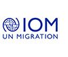 World Migration Report 2022