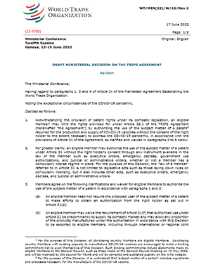 WTO Ministerial Decision on the TRIPS Agreement title=