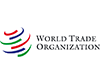 WTO Ministerial Decision on the TRIPS Agreement