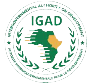 11th IGAD HEALTH MINISTERIAL COMMITTEE MEETING ON RESPONSE TO THE COVID-19 PANDEMIC