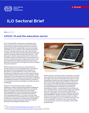 COVID-19 and the education sector title=