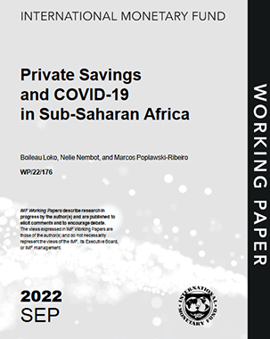 Private Savings and COVID-19 in Sub-Saharan Africa title=