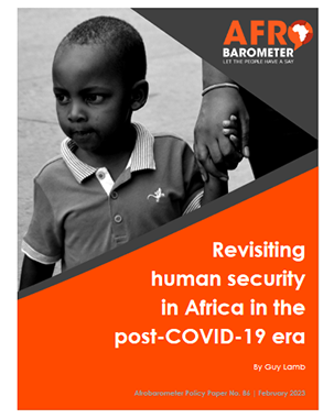 PP86: Revisiting human security in Africa in the post-COVID-19 era title=