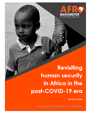 PP86: Revisiting human security in Africa in the post-COVID-19 era  title=