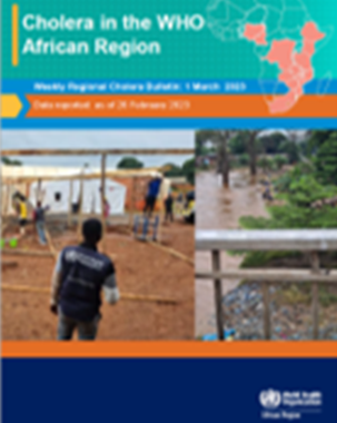 Outbreaks and Emergencies Bulletin, Week 3: 9 to 15 January 2023 title=