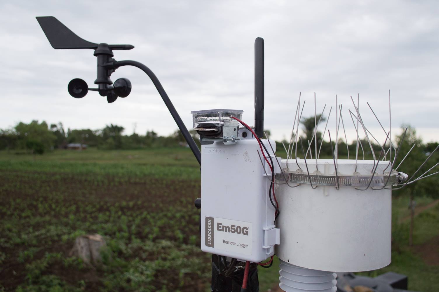 A Trans-African Hydro-Meteorological Observatory (TAHMO) weather station in Lela, Southwestern Kenya. With an eye on the weather, farmers rely on the crops they grow. Photo © ECA