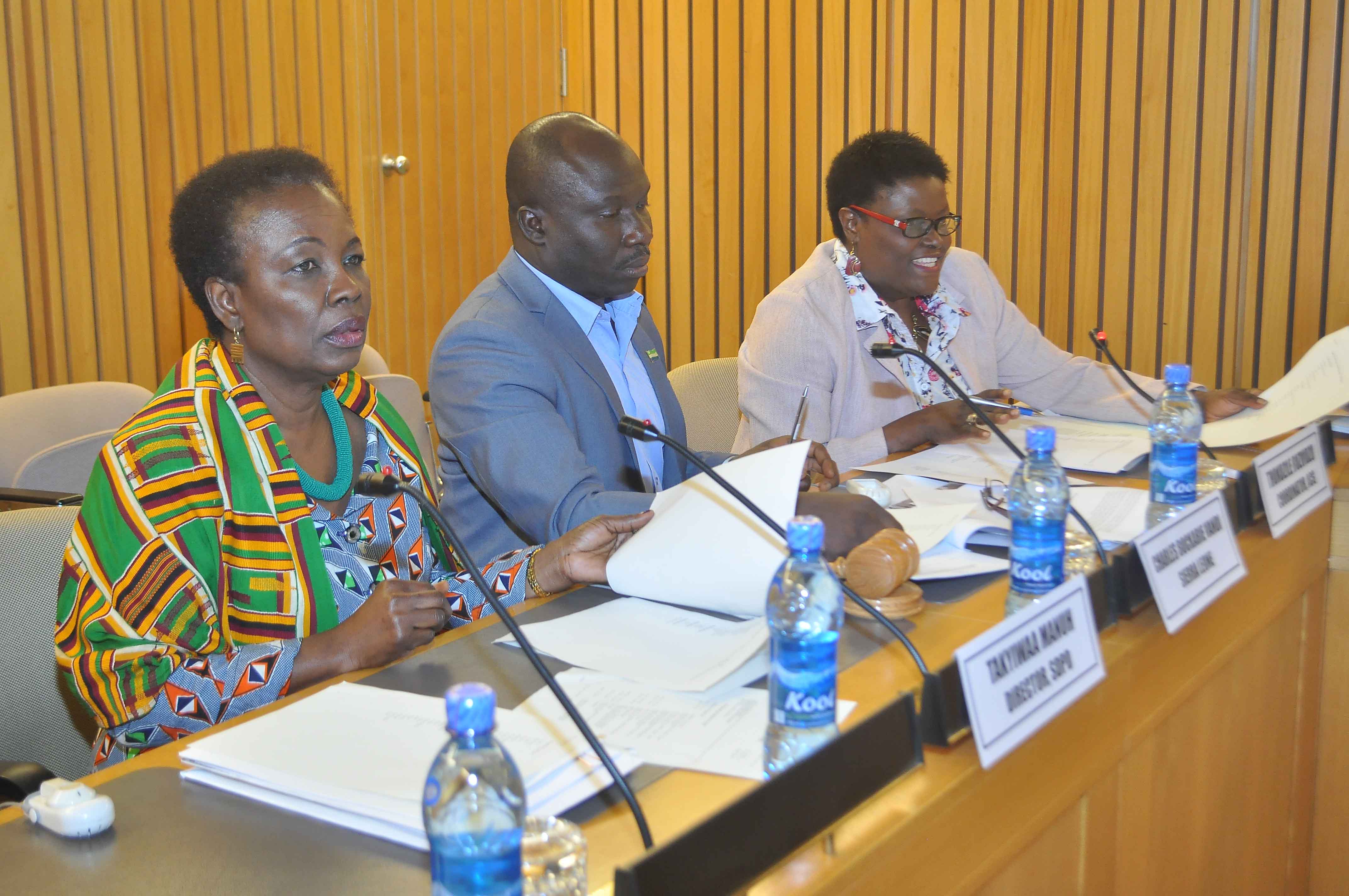 ECA, through its Social Development Policy Division, convened the first session of the Committee on Gender and Social Development in Addis Ababa, 19 and 20 November 2015.