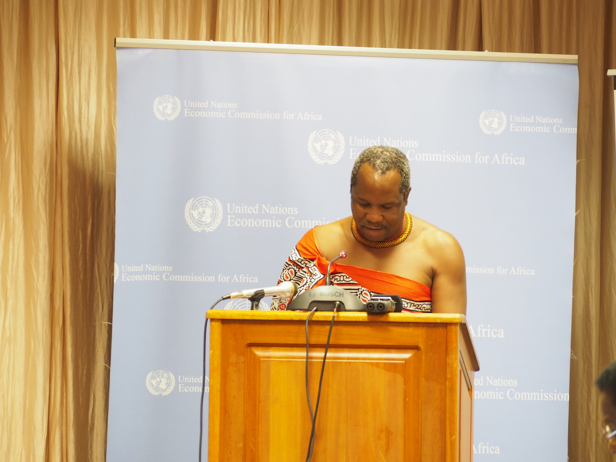 Regional Forum on Developmental Regionalism, Peace and Economic Transformation in Southern Africa. Organized by the Subregional Office for South Africa and the African Peacebuilding Network and Social Science Research Council in collaboration with the Southern African Development Community secretariat, and hosted by the Government of Swaziland (now known as Eswatini) at the Royal Swazi Spa Resort in Ezulwini, 28-30 September, 2016. Photo/ African Peacebuilding Network.