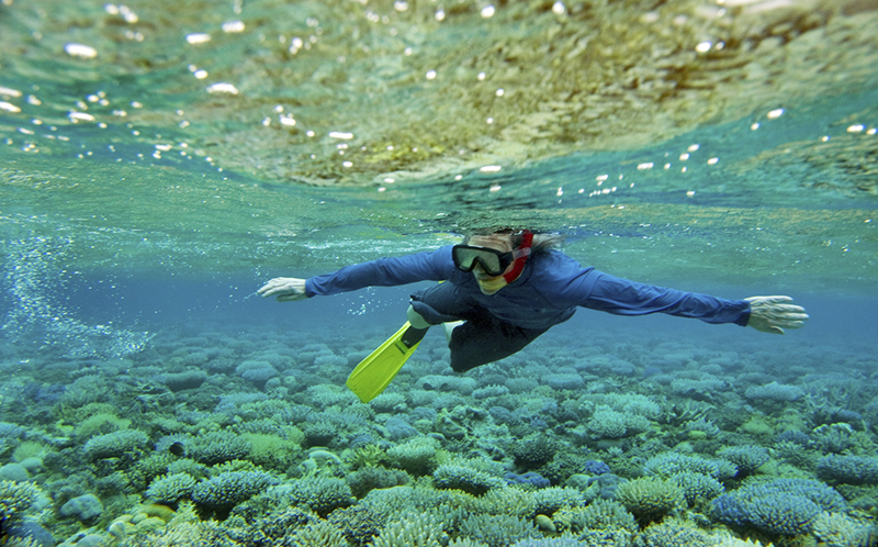 A snorkeler explores a coral reef in the coastal waters. Marine and coastal tourism in Africa can be developed based on Blue Economy. While Blue Economy is complementary to the Green Economy approach in its pursuit of sustainability, it is a concept with much broader development significance for Africa, covering both aquatic and marine spaces. Photo © Ami Vitale