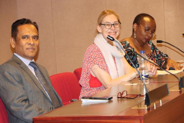 A panel of UN-LINKS members discussing a presentation