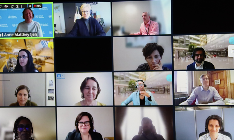 Over fifty UN-LINKS members attended online