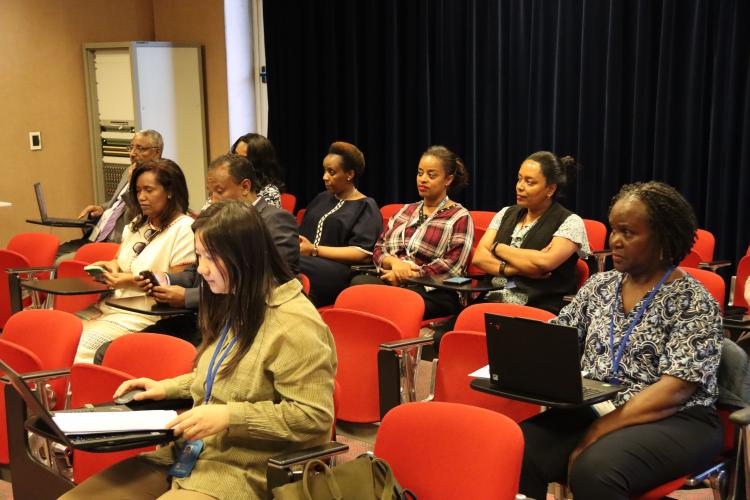 Beyond Shelves: Reimagining the ECA Library as a Living Knowledge Space